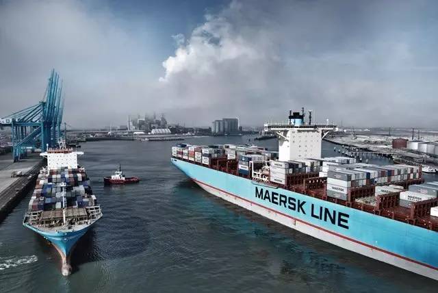 Alphaliner TOP 100 Shipping Company-3