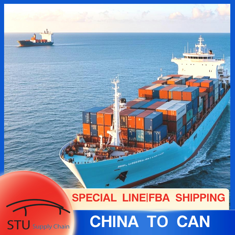 Sea Shipping from Shenzhen, China to Vancouver, Canada by FCL/LCL Shipment 
