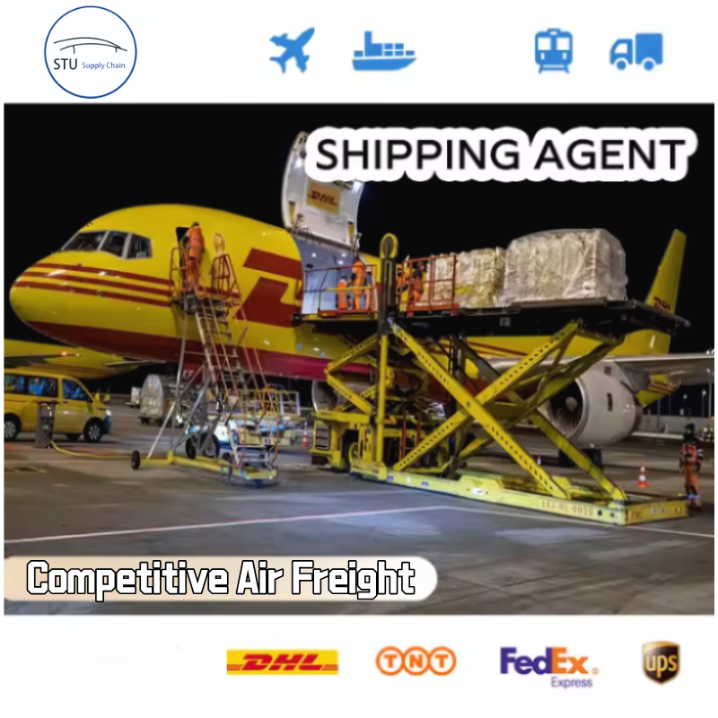 Sea Shipping from Guangzhou China to Cork Ireland | DDP to Door 