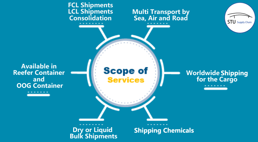 Scope of Services-Ƶ