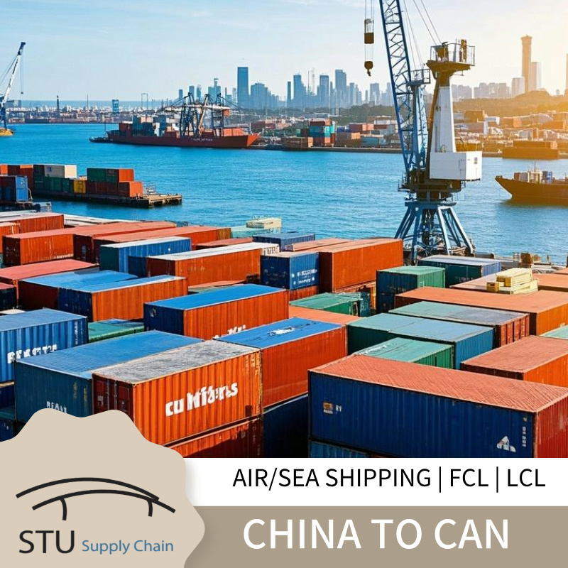 Sea Shipping from Shenzhen, China to Vancouver, Canada by FCL/LCL Shipment 