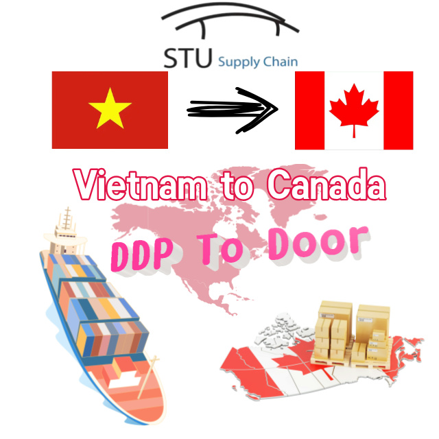 Sea Freight from Vietnam to Canada | FCL Shipping | LCL Shipment | Door to Door Service 