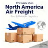 North America Air Freight: Door-to-Door Delivery with Fast Customs Clearance