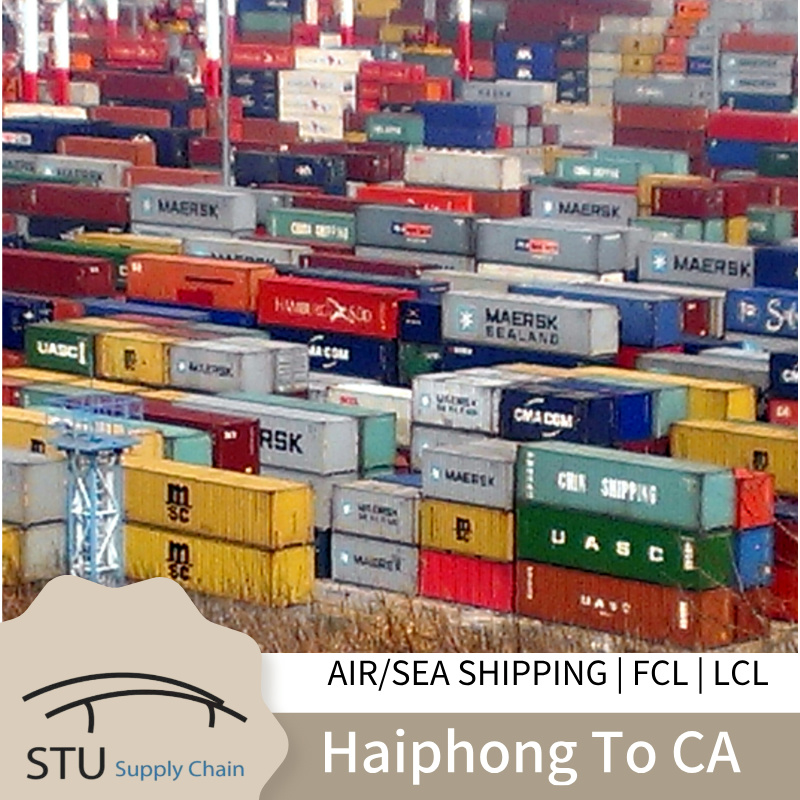 Sea Freight from Vietnam to Canada | FCL Shipping | LCL Shipment | Door to Door Service 