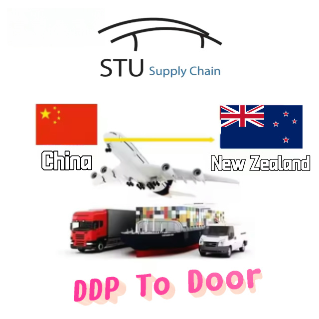 Sea Logistics From Shenzhen, China to Auckland, New Zealand | FCL/LCL Shipment