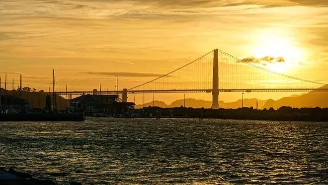 What is FOB Pricing, and How to Handle Unauthorized Cargo Release?