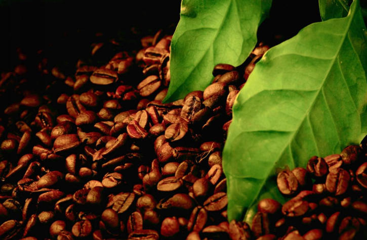 Chinas Coffee.jpg