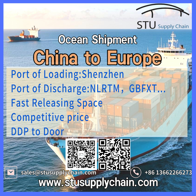 Reefer Container Sea Shipping from China to Europe