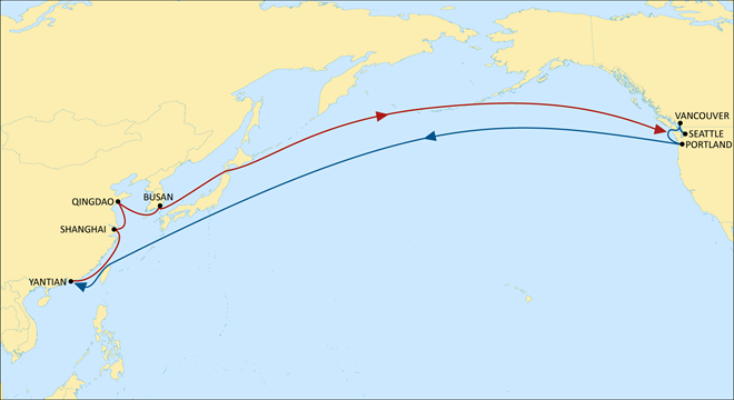 MSC Upgrade &ldquo;Chinook&rdquo;, Only 11 Days from Qingdao to Seattle