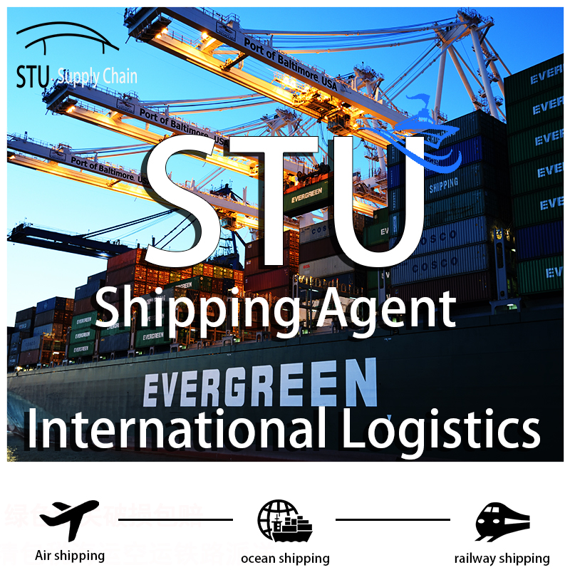 Shipping Agent/Freight Forwarder/Logistics Service with Cheap Shipping Rate From China to Somaliland/Burkina Faso/Burundi/Cameroun/Cape Verde
