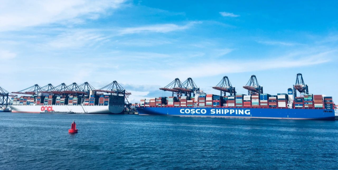 COSCO SHIPPINGs 2021 Profit of 89.3 Billion CNY_3