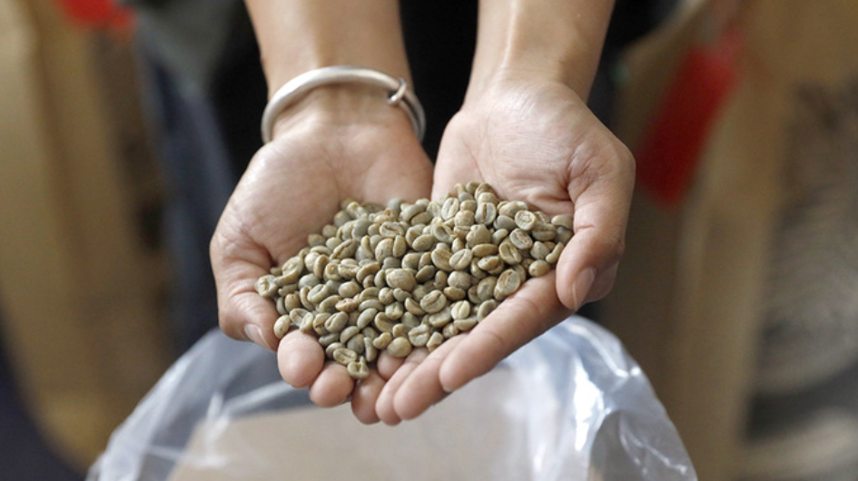 Chinas coffee bean market grows in exports