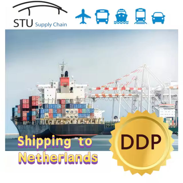 Sea Shipping From Shenzhen, China to Amsterdam, Netherlands | FCL/LCL Shipment