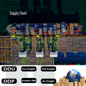 Ocean Freight Container Shipping Forwarder with Low Rates From China to Nigata Nigataokinawa Omishima Onahama Otaru Sakaiminato