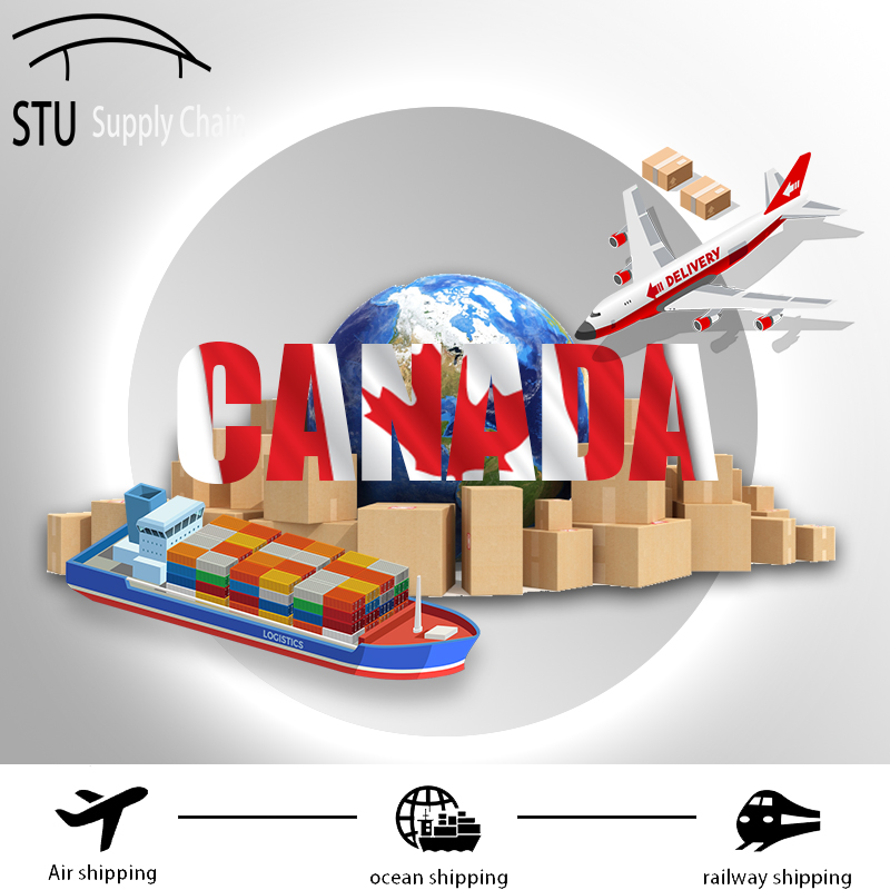Out of Gauge Cargo (OOG) Large, Heavy and Project Cargo Shipping from China to Worldwide by Sea