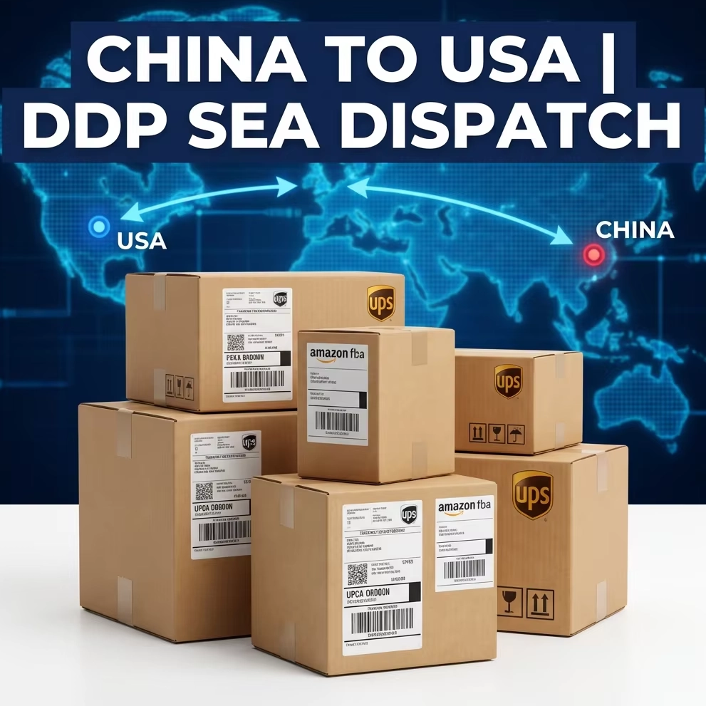 China to USA Ocean Freight Sea Dispatch | DDP All-Inclusive | 12-42 Days | FBA Delivery