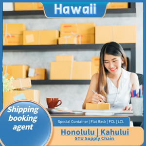 To Hawaii Sea Freight Safety Fast Ship Container LCL FCL Shipping Agent from China to USA Door to Door