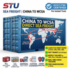 Sea Freight Shipping From China to WCSA South America CALLAO SAN ANTONIO BUENAVENTURA LIRQUEN GUAYAQUIL by FCL/LCL Shipment