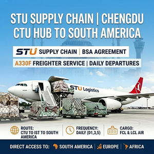 China To South America Air Freight Forwarder DDP Shipping Brazil Chile Mexico Argentina A330F Logistics Service STU Cargo